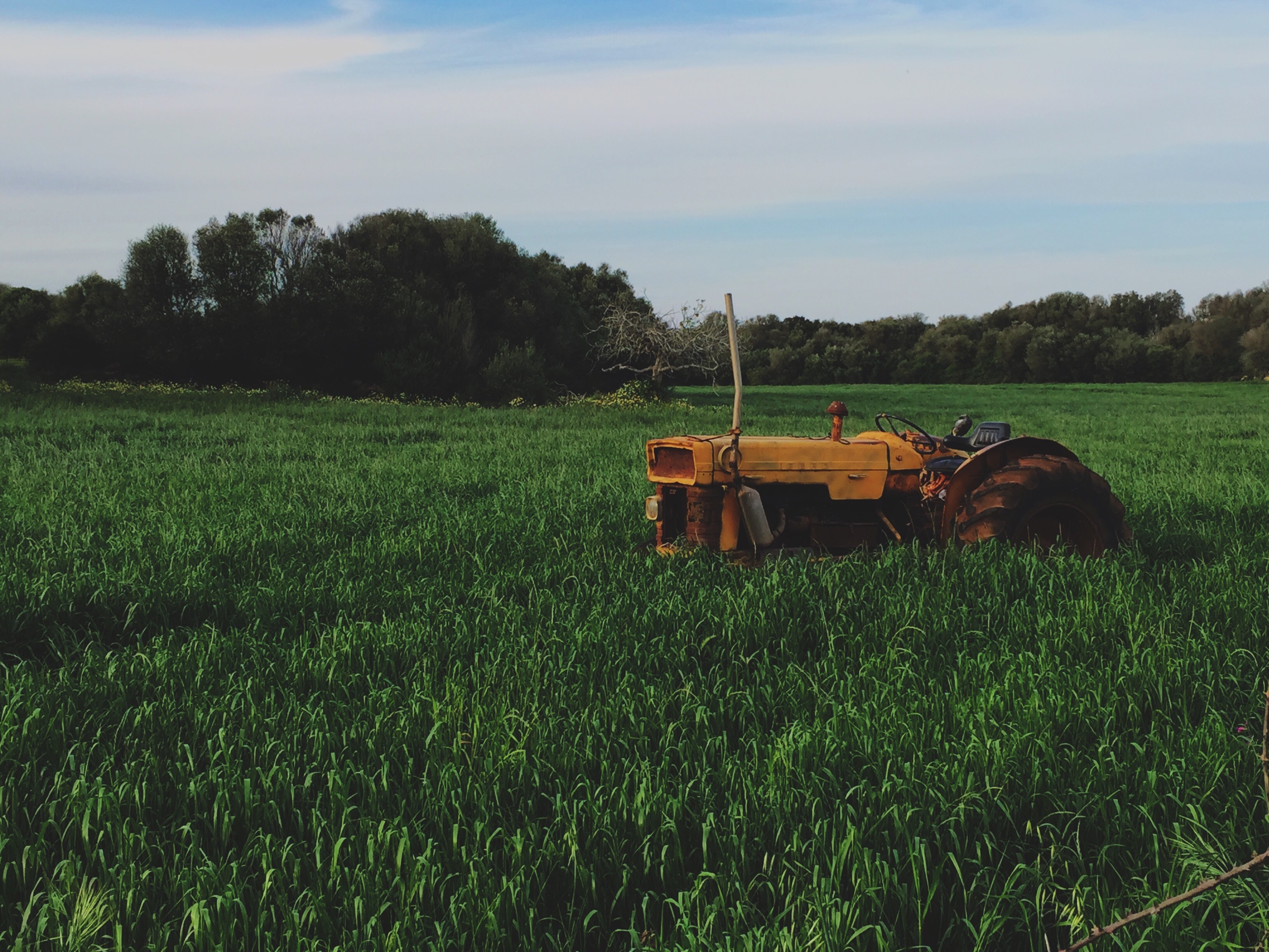 Regenerative Farms Australia. Home delivered meat boxes. Melbourne online butcher shop. Victorian Produce. Feed the family. Farm Boxes. Organic farm.  Organic produce. Regen Ag. Regenerative agriculture.  Local Australian Produce. Support local