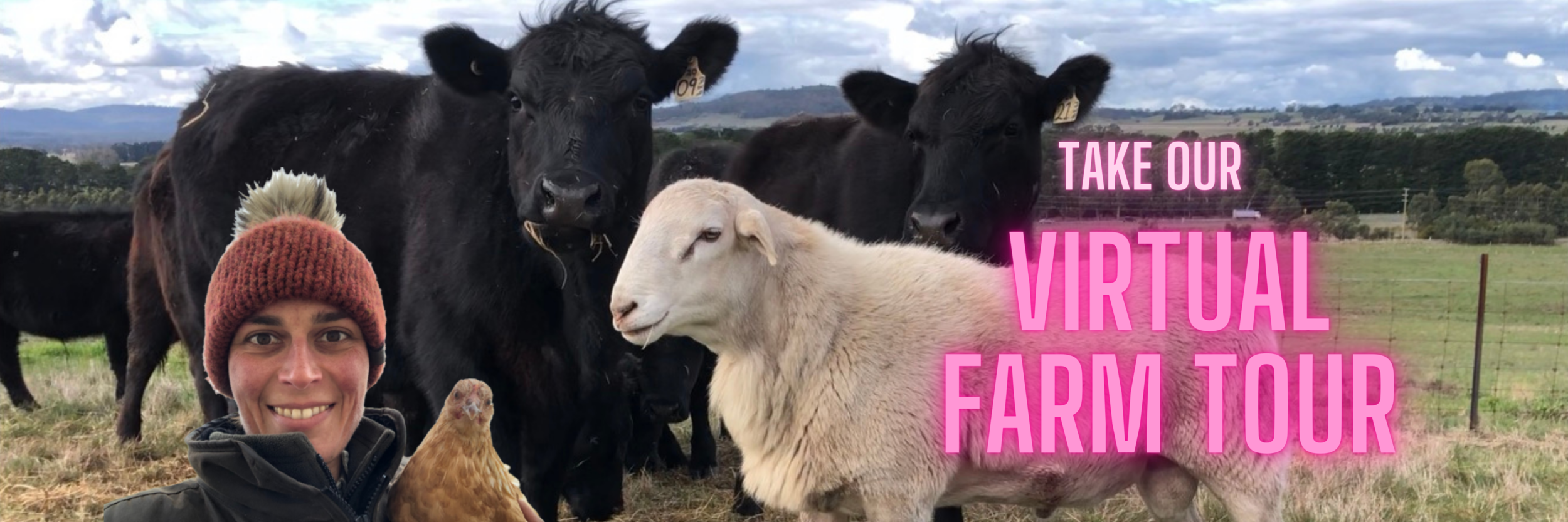 Take our farm tour. regenerative farms australia. online butcher. organic meat. farm tour. visit Victoria. grass fed. regenerative beef. regenerative lamb. regenerative farming. Melbourne organic butcher. ethical meat. kid activities